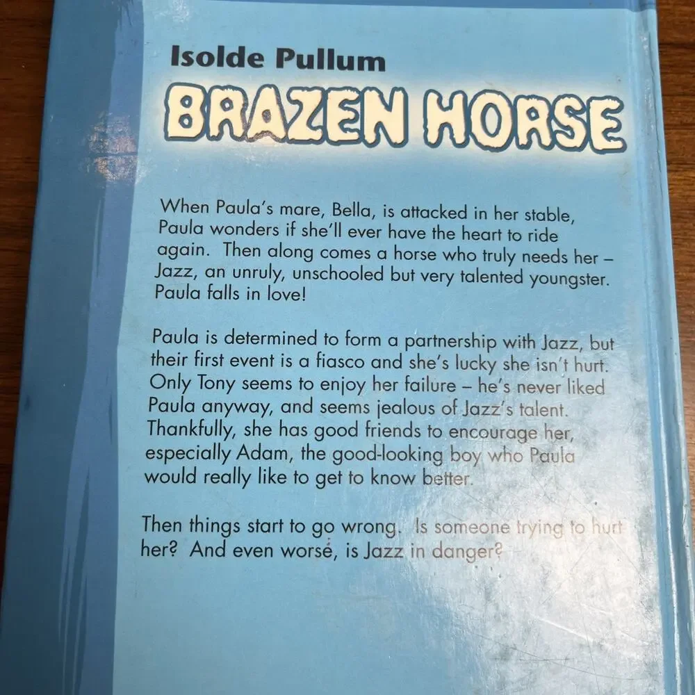 Pony Hardcover Chapter Books For Middle Grade Readers, Lot of 3, Horse Riding